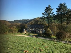 Cornish Countryside