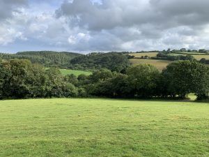 across the fields